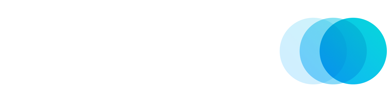 BridgeIQ Logo-reversed